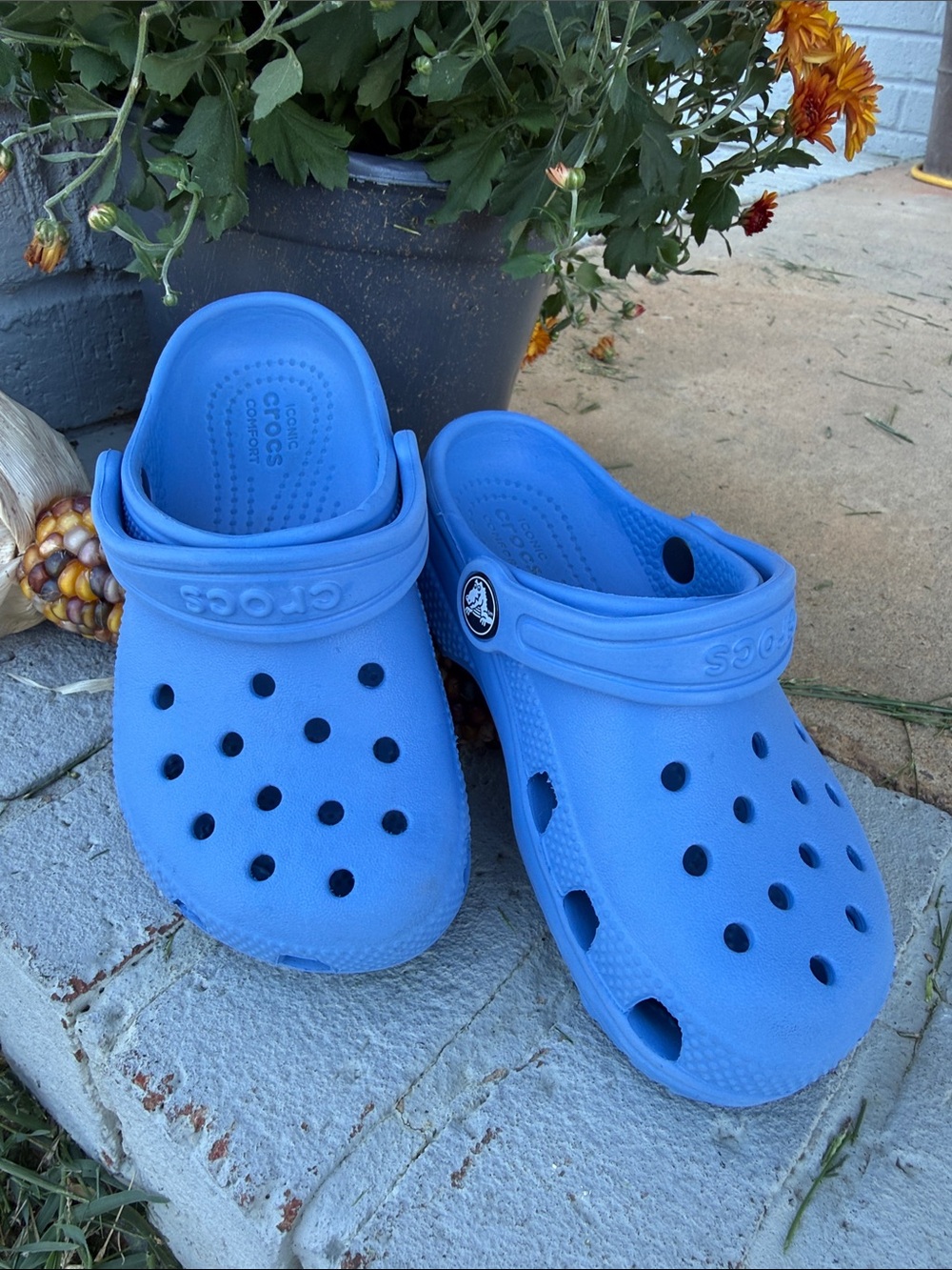 CROCS Classic Clog in Bright Blue for Kids